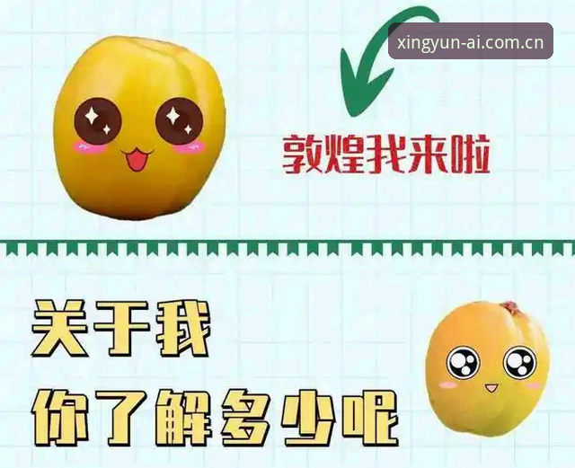 为什么说2026杏运娱乐中国官方主页兼容版入口是手机党的最佳选择？